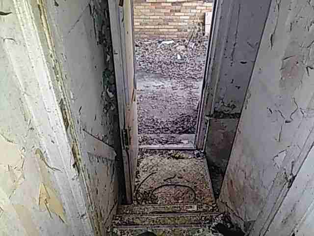 Testing again(30).jpg